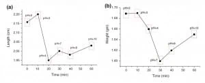 3d-cell-culture-pH-monitoring-in-microfluidics-SEM