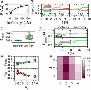 Cherry-Biotech-CherryTemp-weak-protein-protein-interactions-pnas-2017-vol14-no26