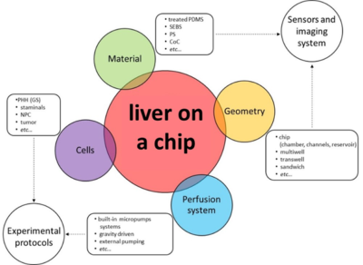 3d-cell-culture-liver-on-chips-features