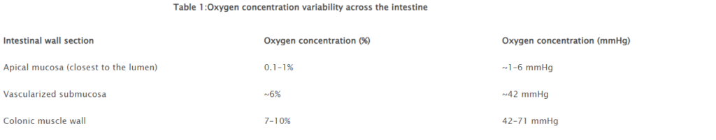 3d-cell-culture-intestinal-oxygen-level