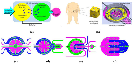 3d-cell-culture-adipocytes-cubix