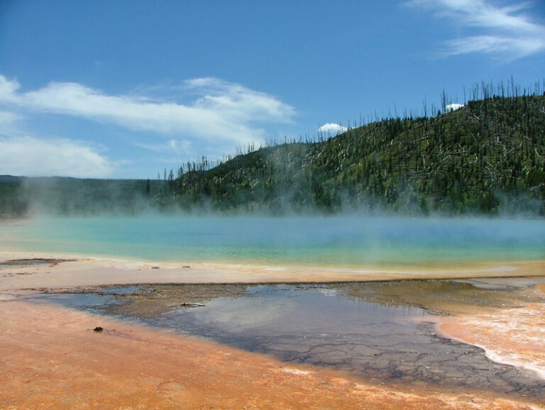 The Grand Prismatic Spring in Yellowstone (USA), with waters at more than 70°C, is the habitat of thermophile communities