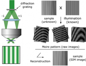 Diagram explaining moire effect and SR-SIM principle