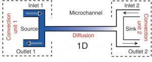 Figure1-a schematic of a cross channel gradient generator-Atencia