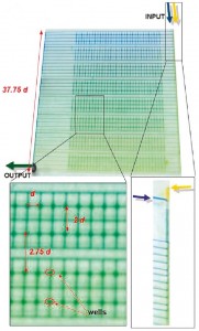 Figure6-Gradients generation for cell biology in microfluidics-Selimovic