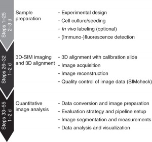 Super-Resolution-Microscopy-SR-SIM-steps