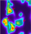 temperature-control-microscopy-ion-channel