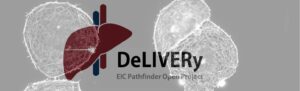 DeLIVERy-EIC-Patchfiner-Open-Project.jpg