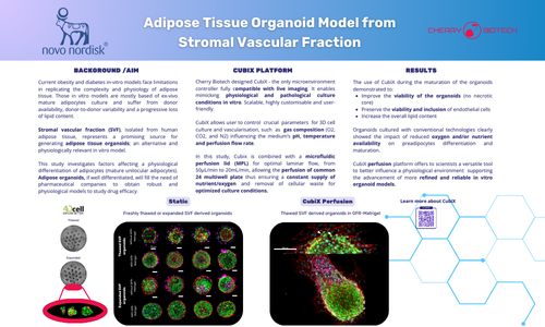 Adipose tissue-poster-download