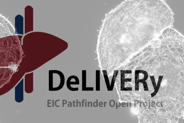 DeLIVERy-EIC-Patchfiner-Open-Project.jpg