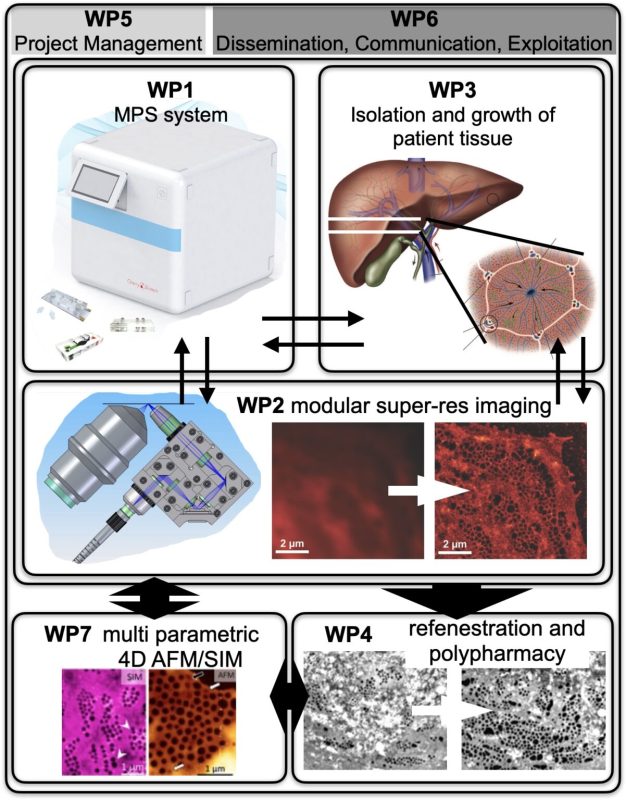 Delivery_Work_Packages_Cherry_Biotech